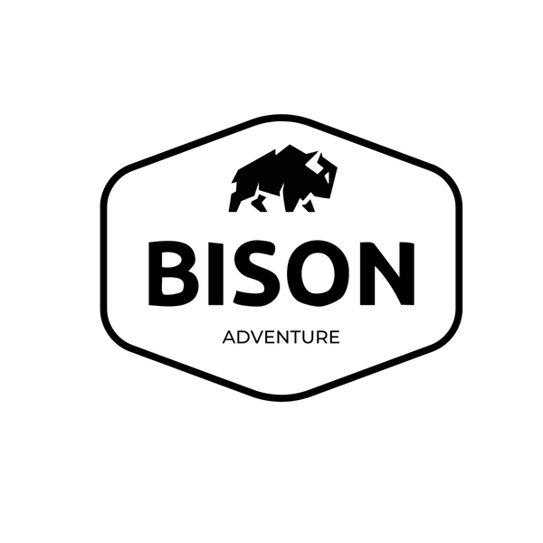 Bison Adventure